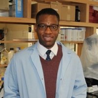 Sheed Itaman (@neurosheed) 's Twitter Profile