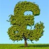 magicmoneytree2's profile picture. British politicians claim I don't exist, but they keep hacking away at my precious branches :(