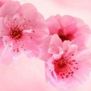 Emily Loredo - @usctotal - Twitter