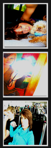 LittleSerruys's profile picture. 