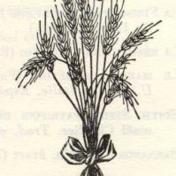 TN (@terrenouvelle2) 's Twitter Profile Photo