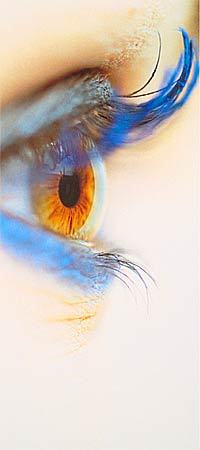 renterinsuranc's profile picture. sleep better knowing you have insurance insurance news and info.CA insurance Lic# OH00191