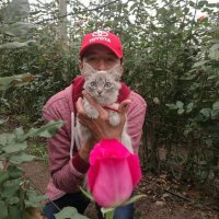 Juan de Dios Suarez G. (@suarez20009050) 's Twitter Profile