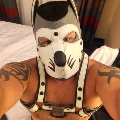 Genuine big hearted muscle pup that enjoys pup play and furries. Aruff! Say hi