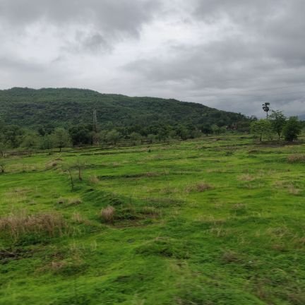 saviocolaco1's profile picture. 