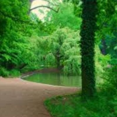 BIGDADD22160350's profile picture. 