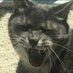 angry beige (@aggressivnutmeg) Twitter profile photo angry beige (@aggressivnutmeg) Twitter profile photo