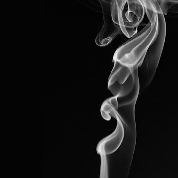 Kyleskollar's profile picture. Follow Me 0)0