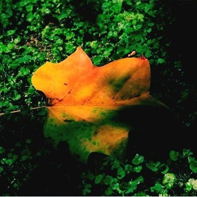 0xffffull's profile picture. SYSU | Linux | Functional | Scalability | Tech