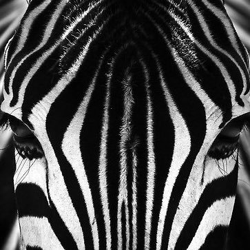 Il grigio non esiste..O bianco o Nero, meglio ancora BiancoNero ⚪️⚫️ #finoallafine
