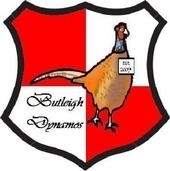 BDFC2007's profile picture. Previously the best in the south west - now at rest. RIP BDFC
