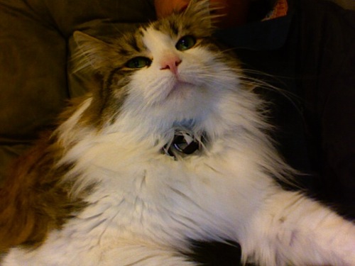 ftotheq's profile picture. 