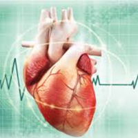 Journal of Cardiology and Cardiovascular Research (@cardiol93041695) 's Twitter Profile