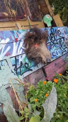 Art4artsake1's profile picture. All things arty