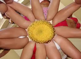 kembang_perawan's profile picture. young and fresh - cute and funny - naughty and witty - innocent yet more experienced than you think - fertile with high insects appeal