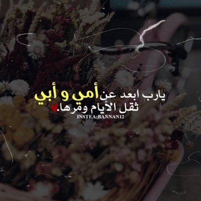 FeCpcsCq9TWrmd7's profile picture. 