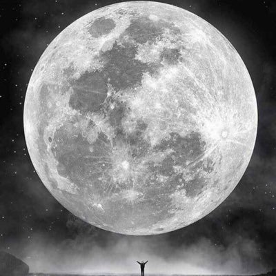 hm_w386's profile picture. حسن وافي