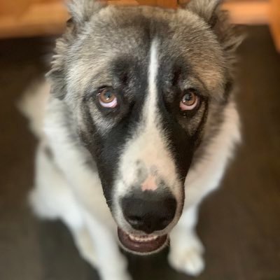 JaySearor83's profile picture. 