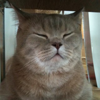 CherryCandy68's profile picture. 81년생 남자 역사전공 like : 여자친구/재일조선인사/자전거/Mac/WoW/일본어, 현재 목표 : 결혼, 뜬금없는 답글과 RT 환영. 81年生まれの男 歴史専攻 好きな物: 彼女/在日朝鮮人史/チャリンコ/Mac/WoW, 現在の目標 : 結婚, reply、RT 歓迎〜