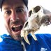 Andreas Rueckert (@frosch21) Twitter profile photo Andreas Rueckert (@frosch21) Twitter profile photo
