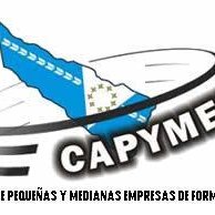 CAPYMEF (@capymef) 's Twitter Profile