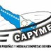 CAPYMEF (@capymef) Twitter profile photo