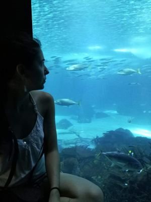 BattalCeren's profile picture. cognitive neuroscientist.
https://t.co/FS9Cq5WNJt