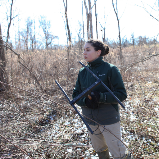 Assistant Professor in Wildlife Conservation at @univofdayton | Landscapes, Populations, Carnivores, Coexistence | she/her | #latinasinSTEM @RedYaguarete