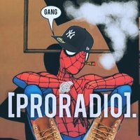 DJ PRO.(@therealPRORADIO) 's Twitter Profile Photo