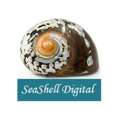 SeashellDigital's profile picture. SeaShell Digital builds websites for small business and non-profits.