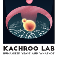 Kachroo Lab(@Kachroo_Lab) 's Twitter Profile Photo