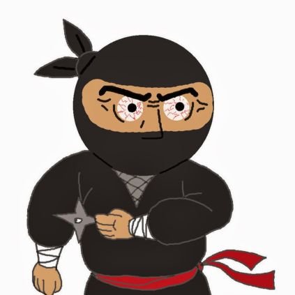 ninja2loco's profile picture. Crazy by day and Ninja by night....