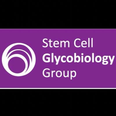 Glycoscience, Cancer and Stem Cells with a sprinkle of Biomaterials | University of Nottingham 🧬 ALL VIEWS PERSONAL TO THE GROUP