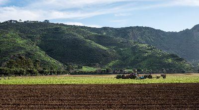 Farmers market located in the beautiful Santa Rosa Valley.