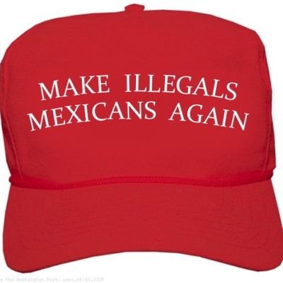 Davesnothome01's profile picture. Can't stand liberal whining!🇨🇺🇨🇺🇨🇺🇨🇺
#latinos4trump #Lexit Trump 2020 !! MAGA!
#walkaway #trytotakeit