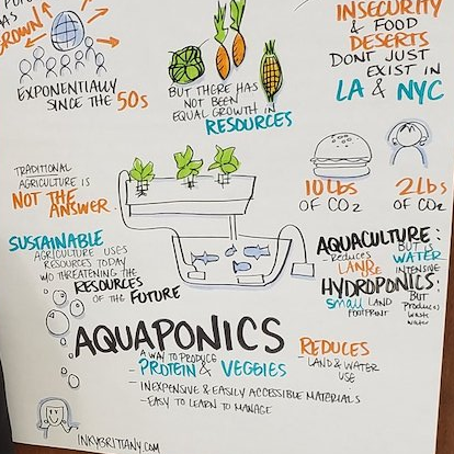 Georgia Southern's Sustainable Aquaponics Research Center (We grow food without soil!)