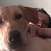 Karen Hunter (@karenhu74053629) Twitter profile photo Karen Hunter (@karenhu74053629) Twitter profile photo