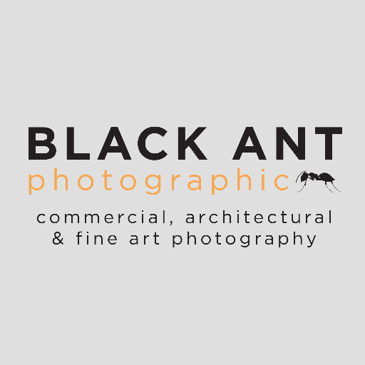 Black Ant • Photographic - I've been creating art with cameras for over 35 years. Please Enjoy!