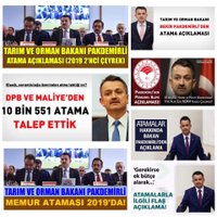Diyar Terketmez (@dterketmez) Twitter profile photo