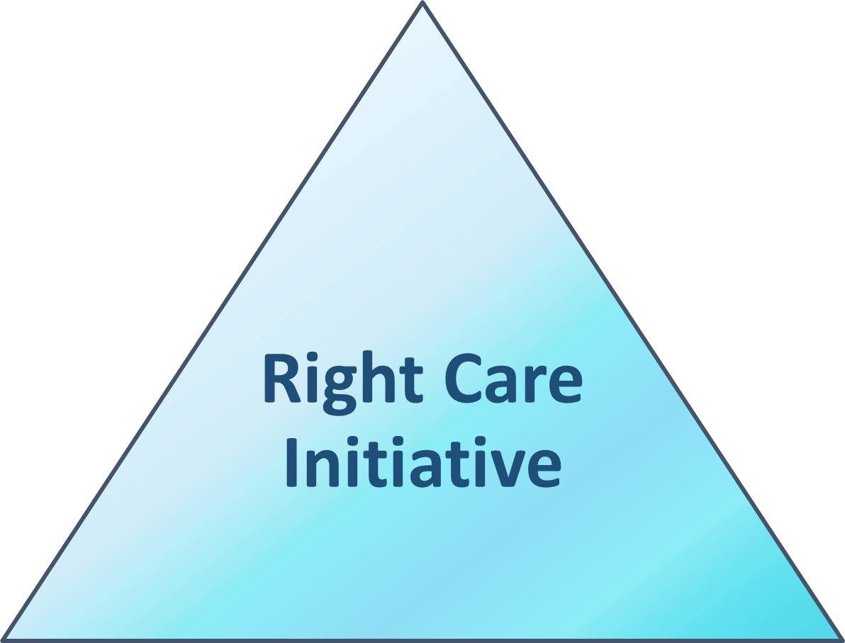 California Right Care Initiative Profile