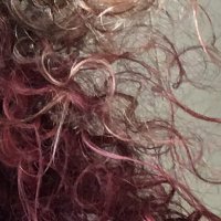 turquita (@supuestapersona) 's Twitter Profile