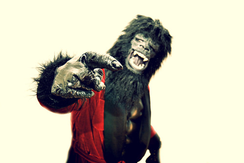 Gorillionaire's profile picture. I'm a young money millionaire, tougher than orangutan hair. 💰#MonkeyMoney