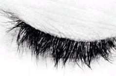 Belycosa's profile picture. 