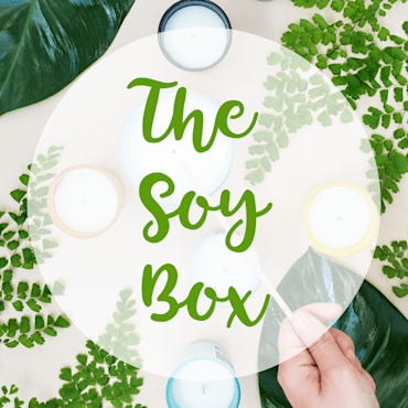 Our products are vegan & animal cruelty free - made with Advanced EcoSoy Wax that doesn't burn any toxins or carcinogens in your home; #plantwaxforhealth