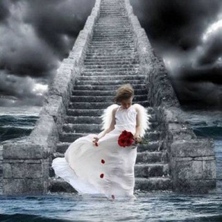 lynnfish13's profile picture. Scatty wife snd mum to two teenagers.  My kids are convinced I am older than time itself and will one day be a grim reaper.  Cool. :)