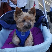 Matthew Ineson (@inesonmatthew) 's Twitter Profile Photo Matthew Ineson (@inesonmatthew) 's Twitter Profile Photo
