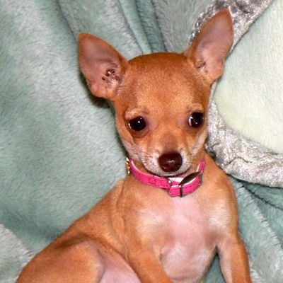 wife, mother of 2 daughters, 1 needy puppy...hallmark fan. have faith in lord. please be kind and compassionate to others.