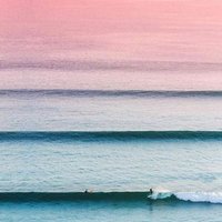 Nada Ali (@nadaali62765758) 's Twitter Profile Photo