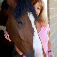 Valerie Ormond (@believeinhorses) 's Twitter Profile Photo Valerie Ormond (@believeinhorses) 's Twitter Profile Photo