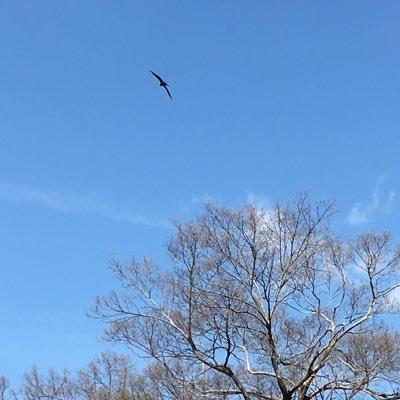 perchmessage's profile picture. 日々、思い浮かんだことを呟きます。日々の挨拶が主。オラクルカード•タロットカードを使用してリーディングをしています。